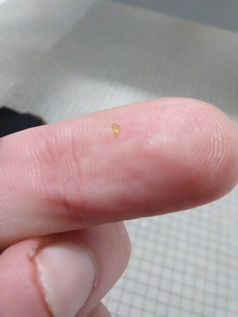 Pictures General Oozing Yellow Crusts forum